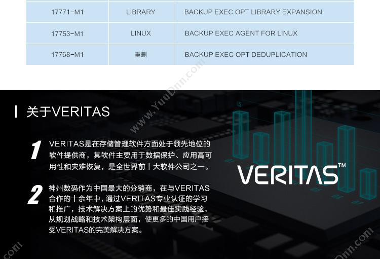 VERITAS BE16数据库模块 终端安全防护
