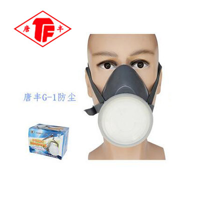 唐丰 G-1 防毒面具