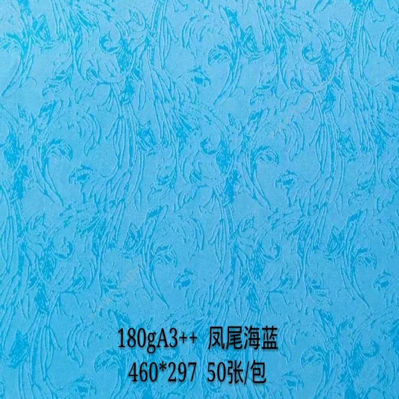 晨科 Chenke 180g 凤尾 A3++ 海（蓝） 皮纹纸