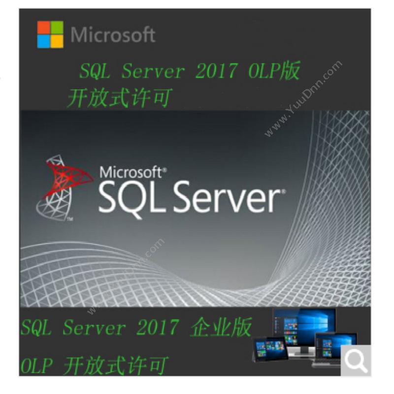 微软 Microsoft SQL 数据库 2017标准版 15用户授权中文版 其他软件