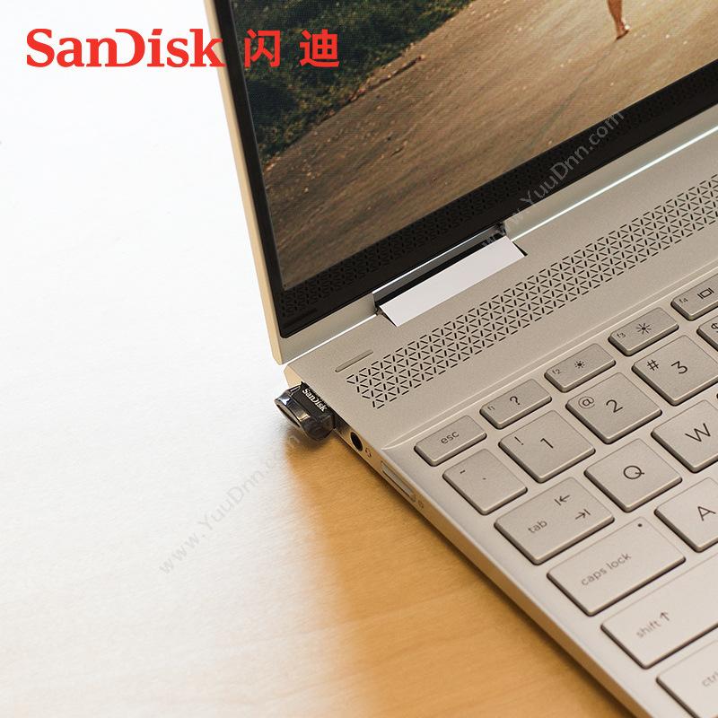 闪迪 Sandisk SDCZ430-256G-Z46 至尊高速酷豆 USB3.1  256GB（黑） U盘