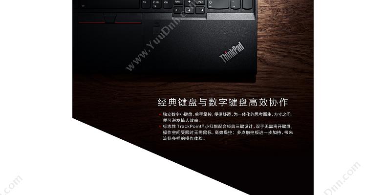 联想 Lenovo T580-195  i5-8250U（黑）  /集成/8GB/256GB/2GB独显/无光驱/LED/15.6英寸/1年保修/DOS 笔记本