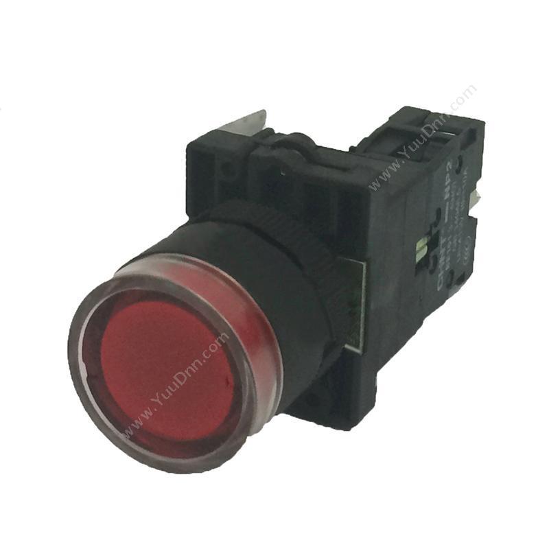 正泰 CHINTNP2-EW3461 220V LED 带灯带灯按钮