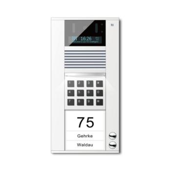 特思 TCS AID10-2 2键直按式可视门口机自然铝色 外挂 楼宇对讲门口机
