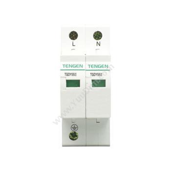 天正电气 Tengen TGDY55系列 TGDY55II-60 2P 4070040106 其它浪涌保护器