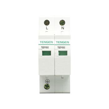 天正电气 Tengen TGDY55系列 TGDY55II-60 2P 4070040106 其它浪涌保护器
