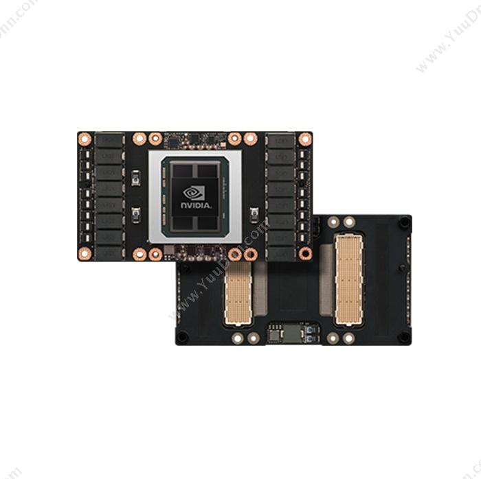 英伟达 NvidiaP100-STRONG-SCALE-HPCGPU卡