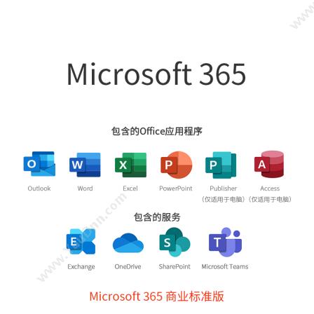 微软 Microsoft365 办公软件(商业标准版)office软件