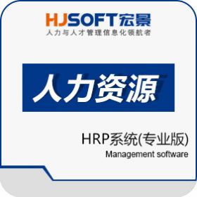 北京宏景世纪软件股份有限公司 宏景HCM 人力资源