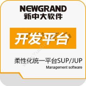 杭州新中大科技新中大柔性化统一平台SUP/JUP开发平台