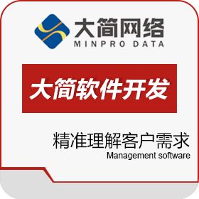 青岛大简网络科技有限公司 软件开发 开发平台