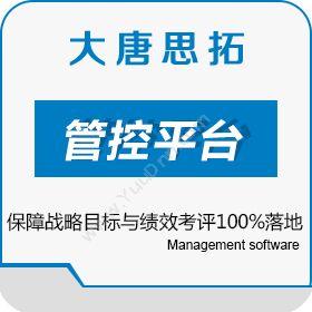 北京大唐思拓企业电厂MIS管理软件 大唐思拓MIS其它软件