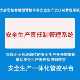 北京大唐思拓信息技术有限公司 安全生产责任制管理系统 制造加工