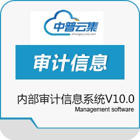 北京中普云集科技有限公司 中普内部审计信息系统V10.0 项目管理