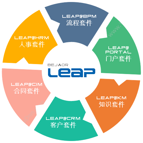 上海毕加信息技术有限公司 毕加LEAP（OA套件） 协同OA