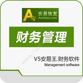北京安易天地软件安易王V5财务软件财务管理