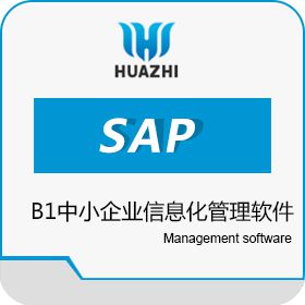 青岛中科华智信息科技有限公司 SAP B1中小企业信息化管理软件 淄博华智软件实施商 其它软件