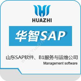 青岛中科华智信息科技有限公司 山东SAP软件代理商 华智SAP B1服务与运维公司 其它软件