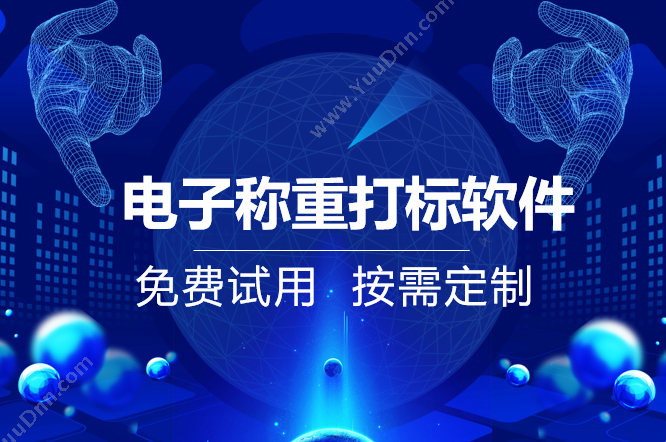 上海实万计算机技术有限公司 实万电子称重打标管理系统 称重系统