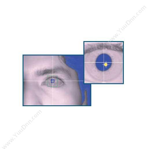 SR ResearchEyeLink 1000 头戴式眼部跟踪系统（塔式底座）眼动仪