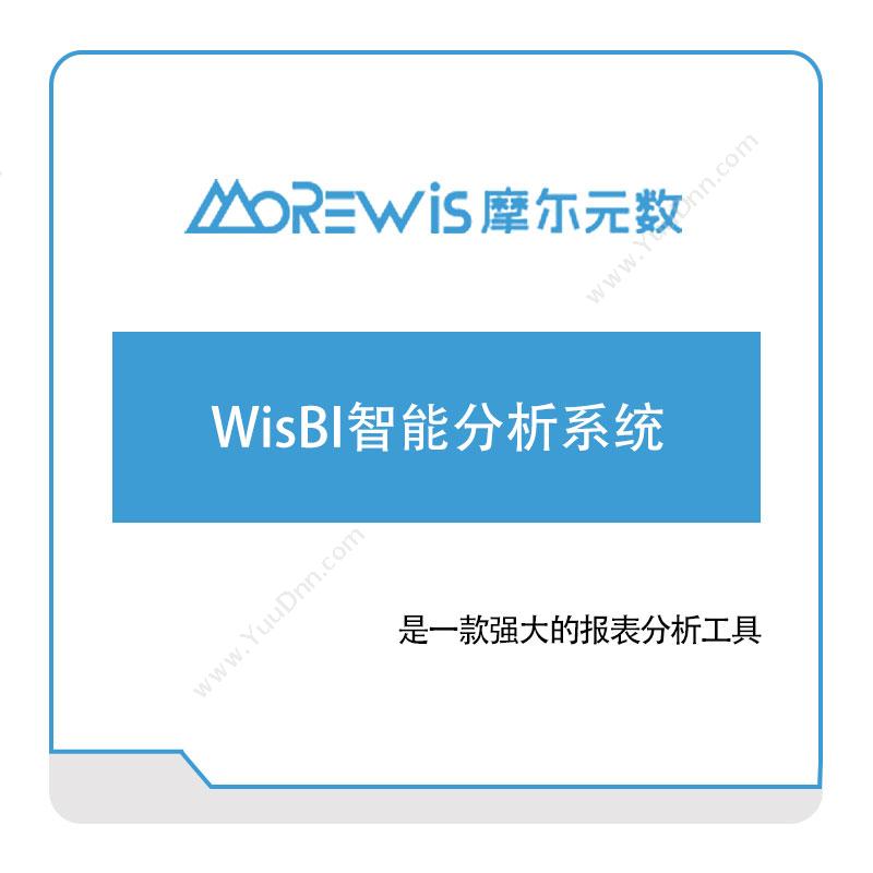 摩尔元数（厦门）WisBI智能分析系统商业智能BI