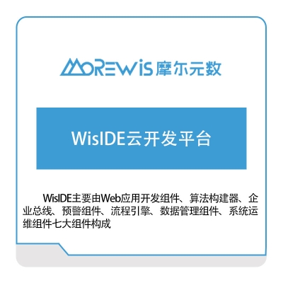 摩尔元数 WisIDE云开发平台 低代码