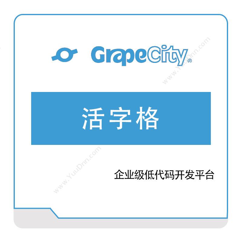 葡萄城 GrapeCity活字格低代码