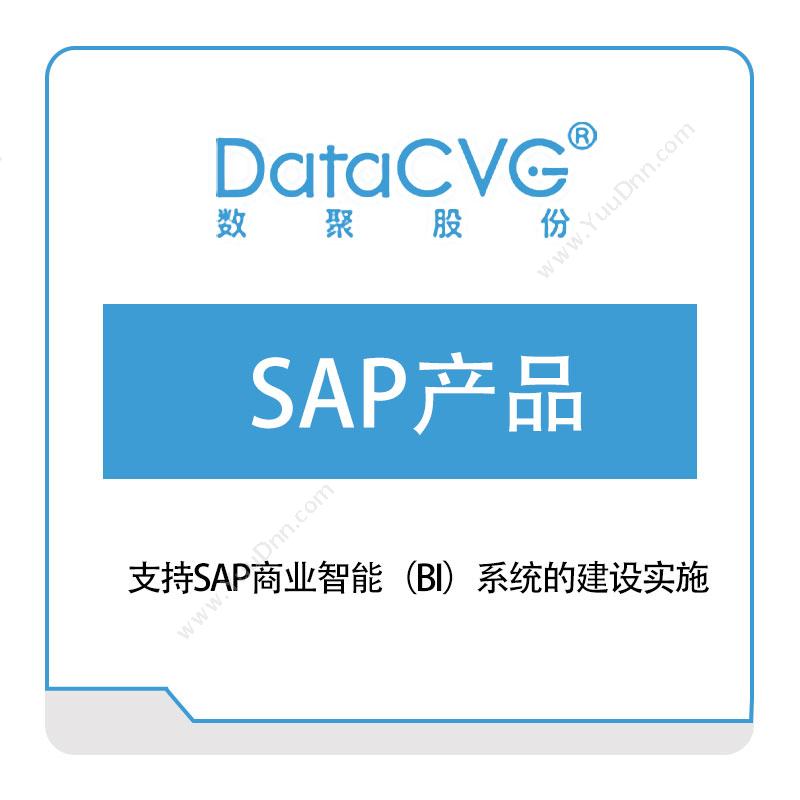数聚股份SAP产品大数据