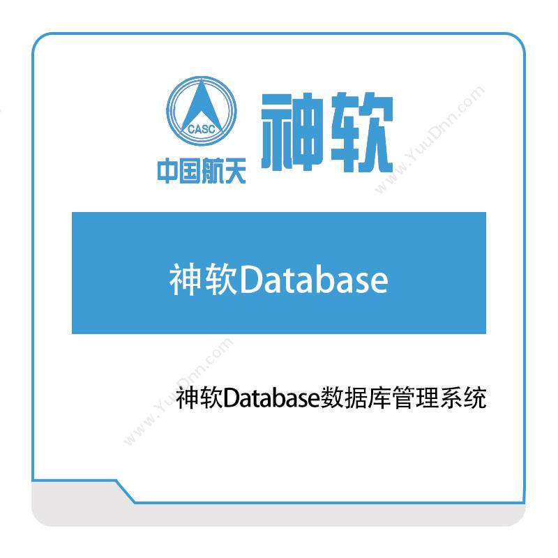 神舟软件神软Database数据库管理系统大数据
