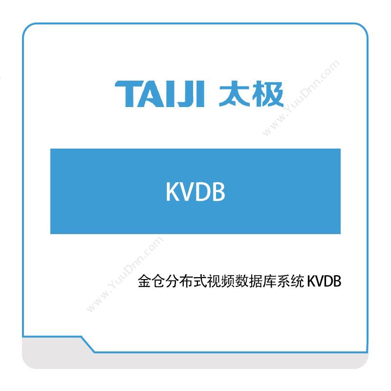 太极集团 金仓分布式视频数据库系统-KVDB 数据管理