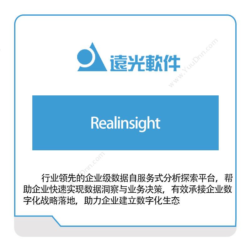 远光软件Realinsight电力软件