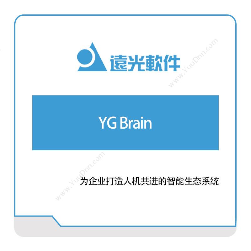 远光软件YG-Brain电力软件