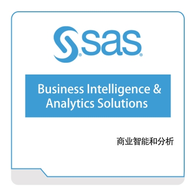赛仕软件 Business-Intelligence-&-Analytics-Solutions 商业智能BI