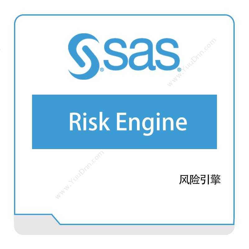 赛仕软件 Risk-Engine 商业智能BI